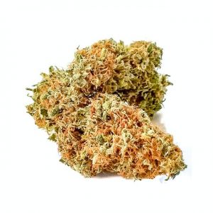 Swiss Sativa Marijuana Strain UK
