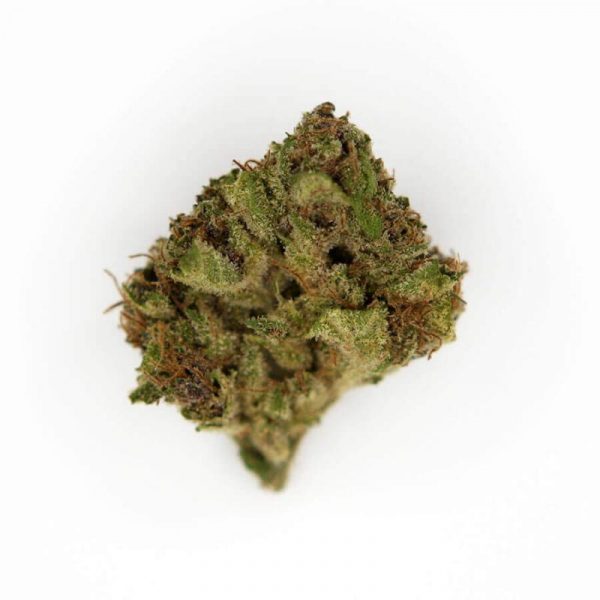 Blueberry Muffin UK Cannabis Strain