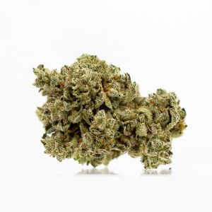 Buy G6 Marijuana Strain UK