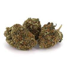 Easy Bud Marijuana UK