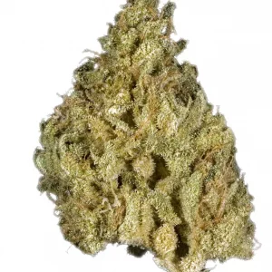 Cali Gold Cannabis UK