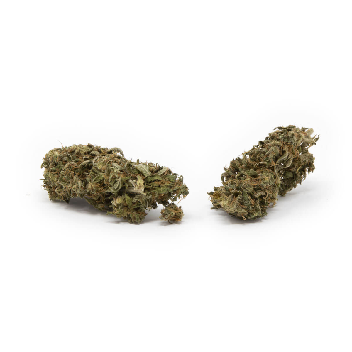 Solomatic CBT Marijuana UK - Buy Indica Weed Strain Online Salisbury