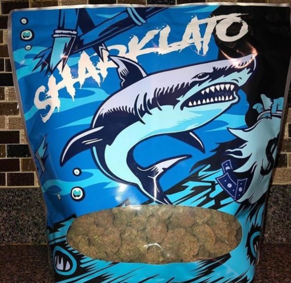 Sharklato Weed Strain UK